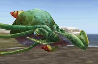 Gigan Octopus Image