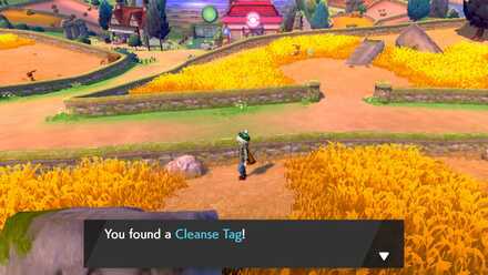 Receive Cleanse Tag.jpg