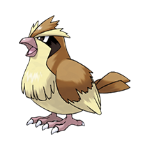 Pidgey Image