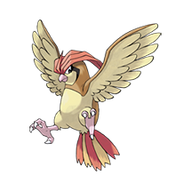 Pidgeotto Icon
