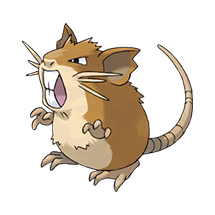 Raticate Image