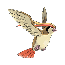 Pidgeot Icon