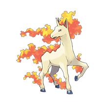 Rapidash Image