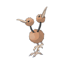 Doduo Image