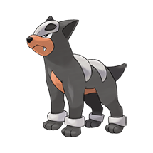 Houndour Image