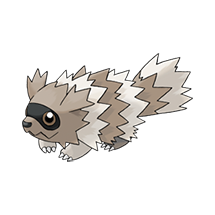 Zigzagoon Icon