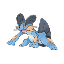 Swampert Image
