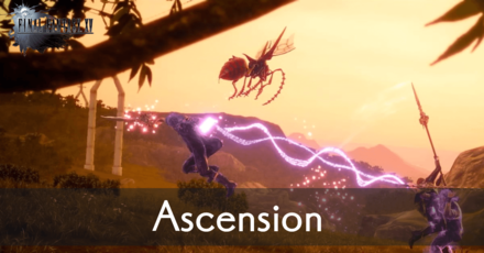 Ascension Banner