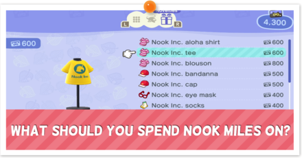 What Should You Spend Nook Miles On