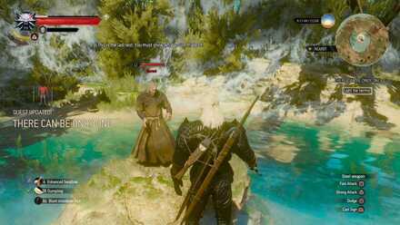 Geralt vs Hermit