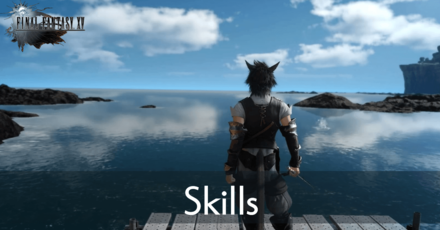 Skills Banner (1).png