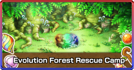 Evolution Forest.png