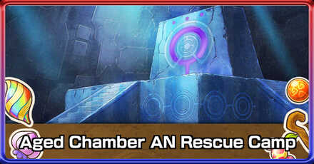 Aged Chamber AN Rescue Camp .jpg