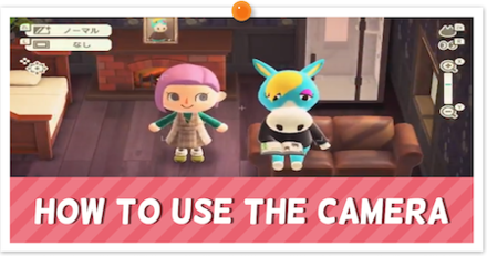 How to Use the Camera - Partial.png