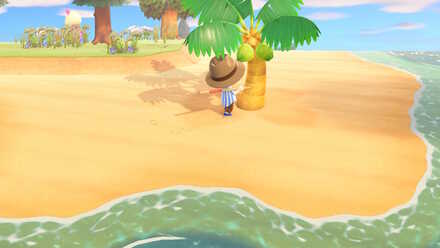 mystery tour island animal crossing ACNH - A resident shakes a coconut tree