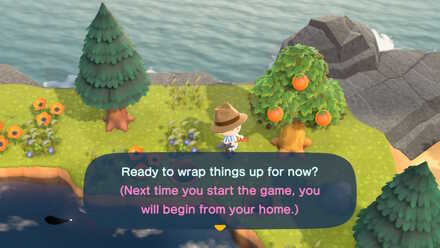 mystery tour island animal crossing ACNH - A resident quits the game while on a Mystery Island