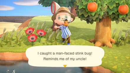 mystery tour island animal crossing ACNH - A resident captures a man-faced stinkbug in a Mystery Island