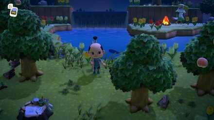 mystery tour island animal crossing ACNH - Normal Mystery Island 1