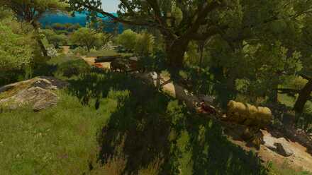 Big Feet to Fill Two