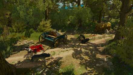 Big Feet to Fill Three