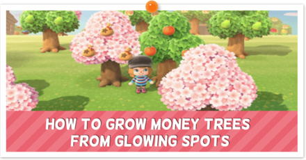 ACNH How to Grow Money Trees from Glowing Spots.png