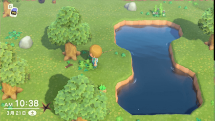 Carp Shadow Size Price Location And How To Catch Animal Crossing New Horizons Switch Game8