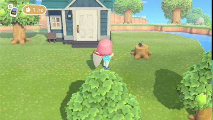 ACNH - A bug on a stump