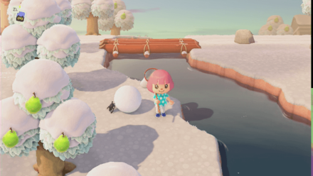 ACNH - A bug in the snow