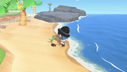 How To Get Palm Trees On Your Island Acnh Animal Crossing New Horizons Switch Game8 - palm tree roblox islands