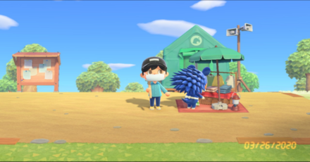 ACNH - A player tries to take a photo with the Date added