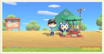 ACNH - A player tries to take a photo with a Frame and the Date added