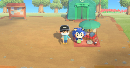 ACNH - A player tries to take a photo while zoomed-out