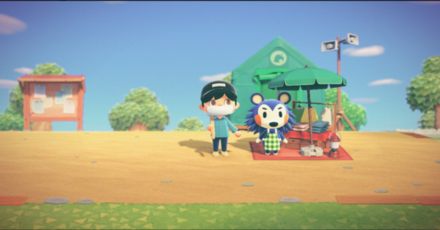 ACNH - A player tries to take a photo with the Film filter