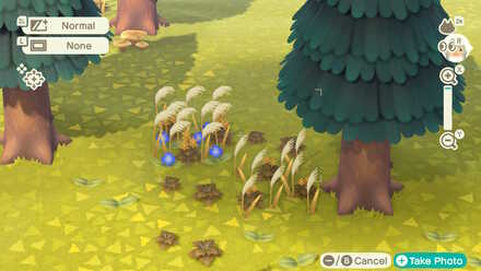 How To Use Clump Of Weeds Should You Pick Weeds Acnh Animal Crossing New Horizons Switch Game8