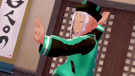 Isle of Armor Dojo Master.jpg