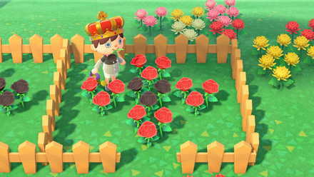 How To Grow Golden Roses Acnh Animal Crossing New Horizons Switch Game8