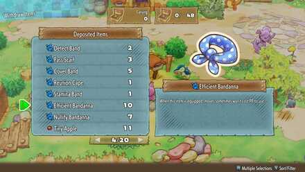 Efficient Bandana.jpg