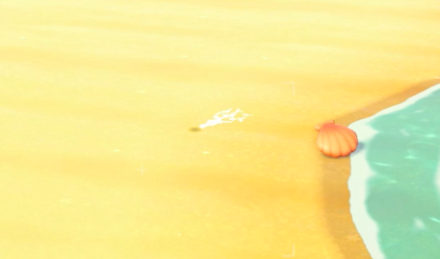 Manila Clam Water Spray