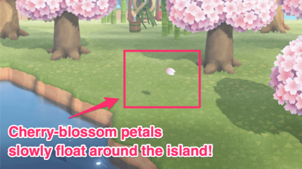 When is Cherry Blosson season in Animal Crossing: New Horizons?