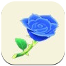 Blue Rose Image