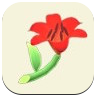 Red Lily Image