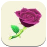 Purple Rose Image