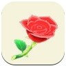 Red Rose Icon