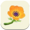 Orange Windflower Icon