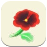 Red Pansy Image