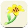Yellow Lily Image