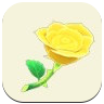Yellow Rose Image
