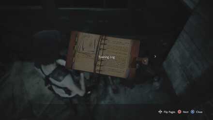 Downtown Training.jpg