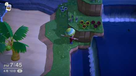mystery tour island animal crossing ACNH - Mystery Island with Waterfalls