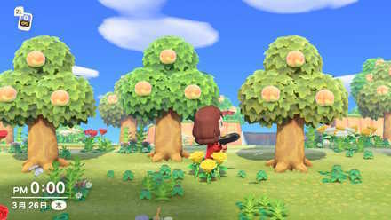 mystery tour island animal crossing ACNH - Fruit Tree Island
